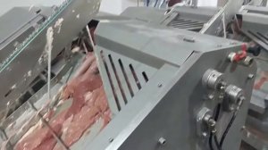 Автоматическая линия обработки черевы свиней BW MCP 600