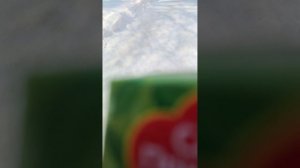 Провод зимы