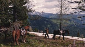 Природа Алтайского края на границе с республикой Алтай. Охотничье хозяйство "Кумир"