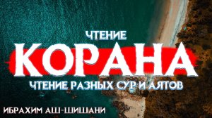 Чтение Корана (разные Суры и Аяты) - Ибрахим Аш-Шишани