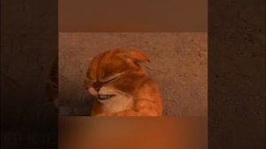 Перрито повторил взгляд кота✨