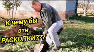 ЧЕМУ БЫ ЭТИ РАСКОПКИ | ДОМ В ДЕРЕВНЕ | Деревенская жизнь | Переезд из города в деревню