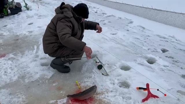 03.03.25 г. РК Волна
