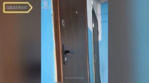 Самые смешные животные 😂 Приколы с котами и собаками 2025 😺🐶 Часть 16