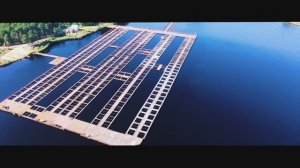 Самое крупное в России осетроводческое хозяйство ГК "Русский икорный дом"