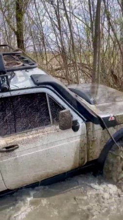 Нивас едет в брод