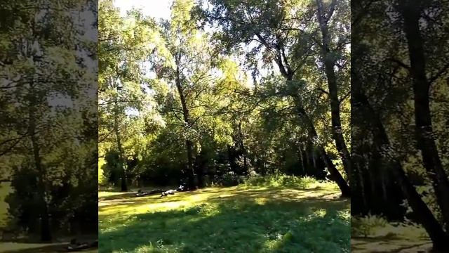 Бутово - лес смотреть онлайн