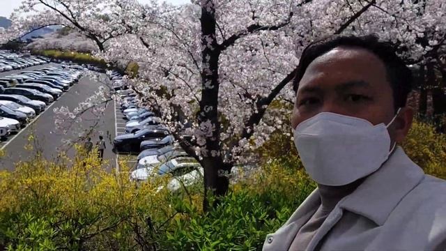 Sakura E-World Daegu Tower смотреть онлайн