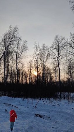 ослепительное солнце на закате