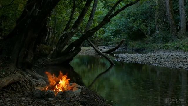 Расслабляющие звуки Костра у реки, звуки природы HD Relaxing Music