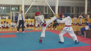 Первенство МФТ Тхэквондо Севастополя