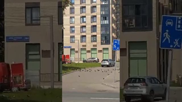 Юных ленинцев