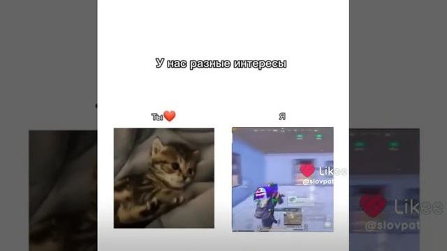 интересы