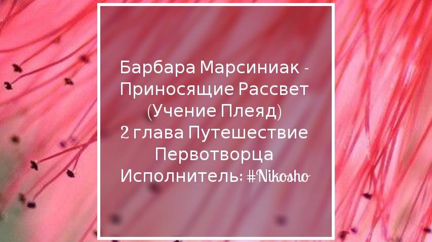 Барбара Марсиниак - Приносящие Рассвет (Учение Плеяд)
2 глава#плеядиянцы#позитивноемышление