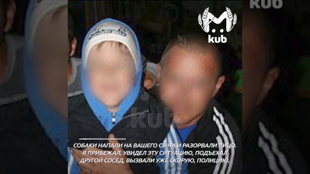 Хаски