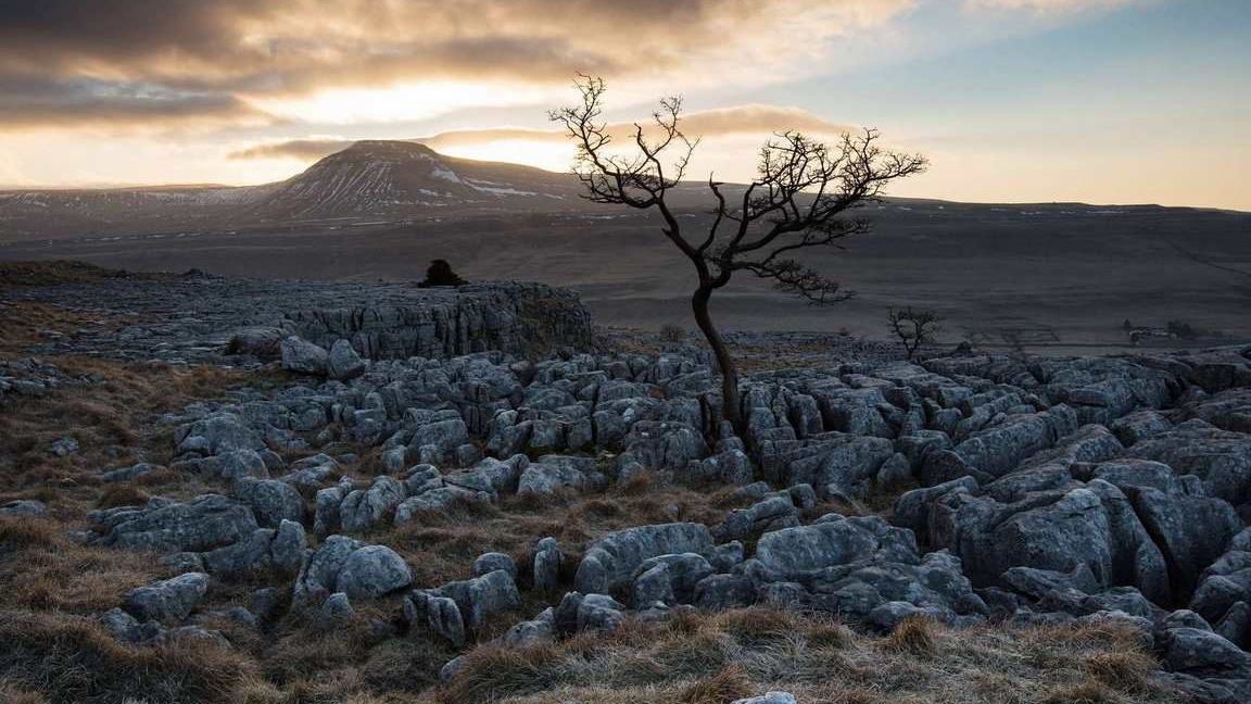 Пустыня нашего сердца : пустота и камни. смотреть онлайн