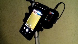 video5341604857000260264