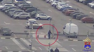 Уборщик, похитивший забытое пассажиром портмоне с валютой, задержан полицией аэропорта Домодедово