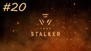 [PC] True Stalker | Прохождение | #20