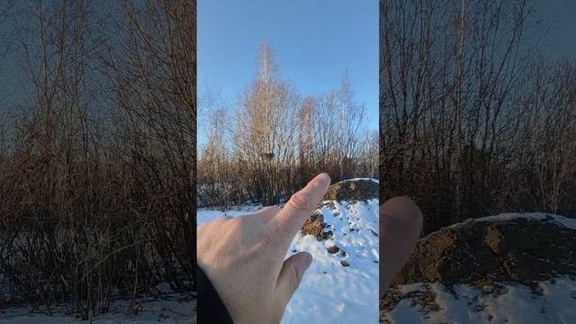 Продам Землю в Тюмени