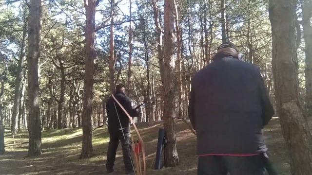 Утренние стрельбы в сосновом лесу 