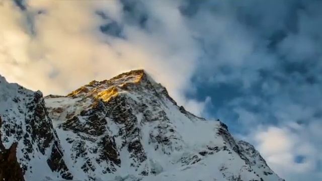 Bonz Moringa Ice Tea Energy Drink - Reach your peak смотреть онлайн