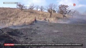 ТВ-Центр, Природные пожары в Приморском крае