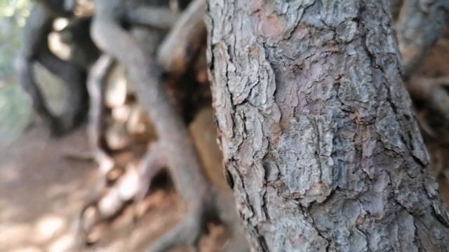 КУДА ЖЕ Я ПРОПАЛ!? УЕХАЛ В ОТПУСК... !? КАК ЖЕ ЗДЕСЬ КРАСИВО В КАРЕЛИИ! смотреть онлайн