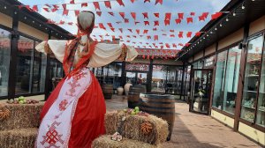 Шато Пино.Федотовка.Группа "Веста"