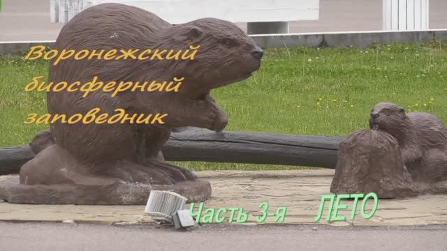 Воронежский заповедник часть 3 Лето