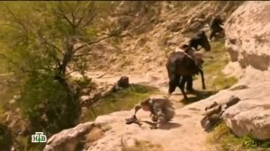 Морские дьяволы.МУРА)