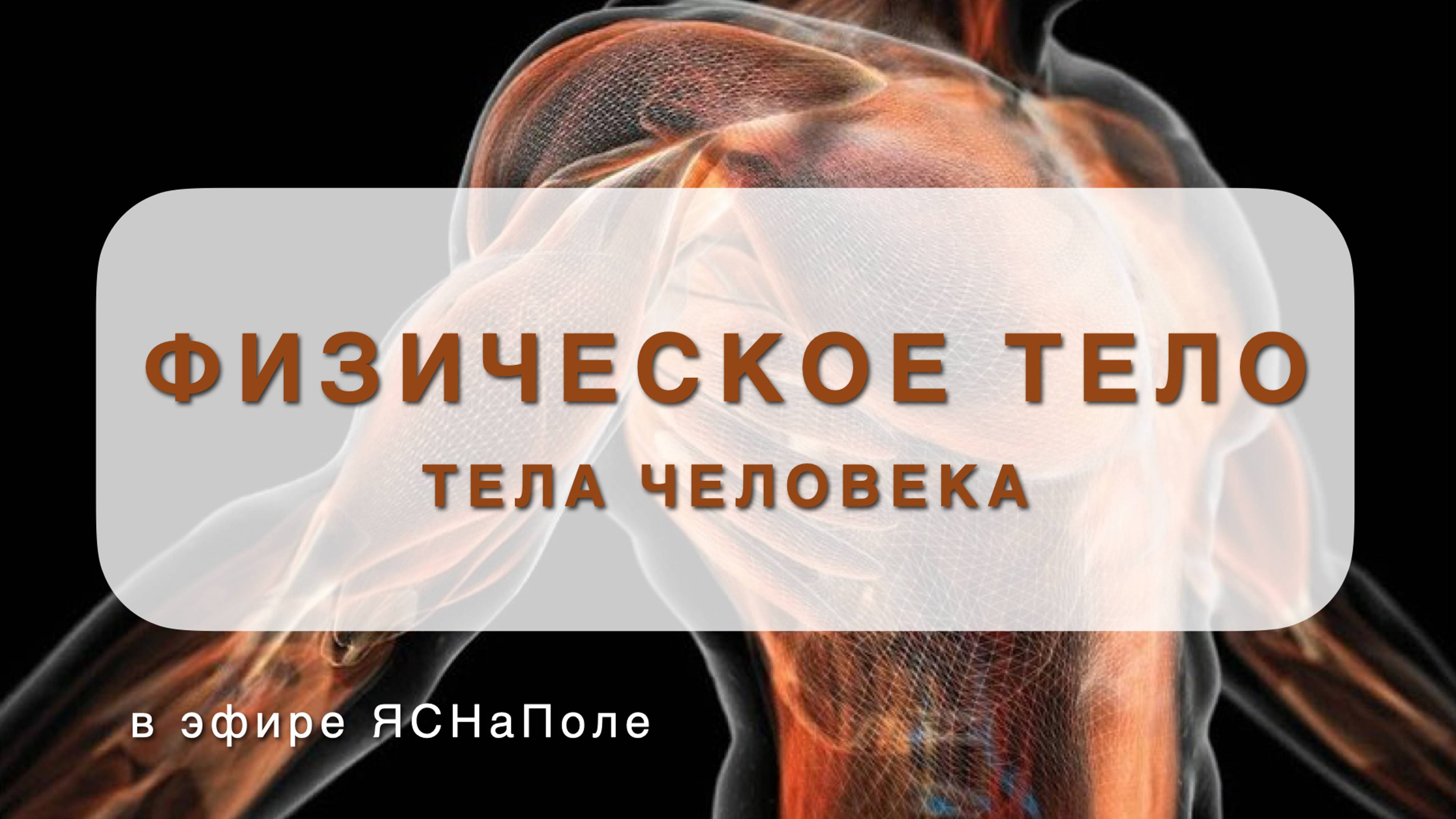 Тело человека_ физическая оболочка, тонкие тела.