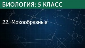 Биология 5 класс: Мохообразные