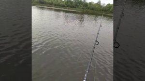 Рыбалка Завьяловский пруд ловля щуки окуня