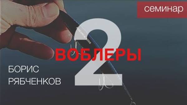 Семинар по воблерам от Бориса Рябченкова