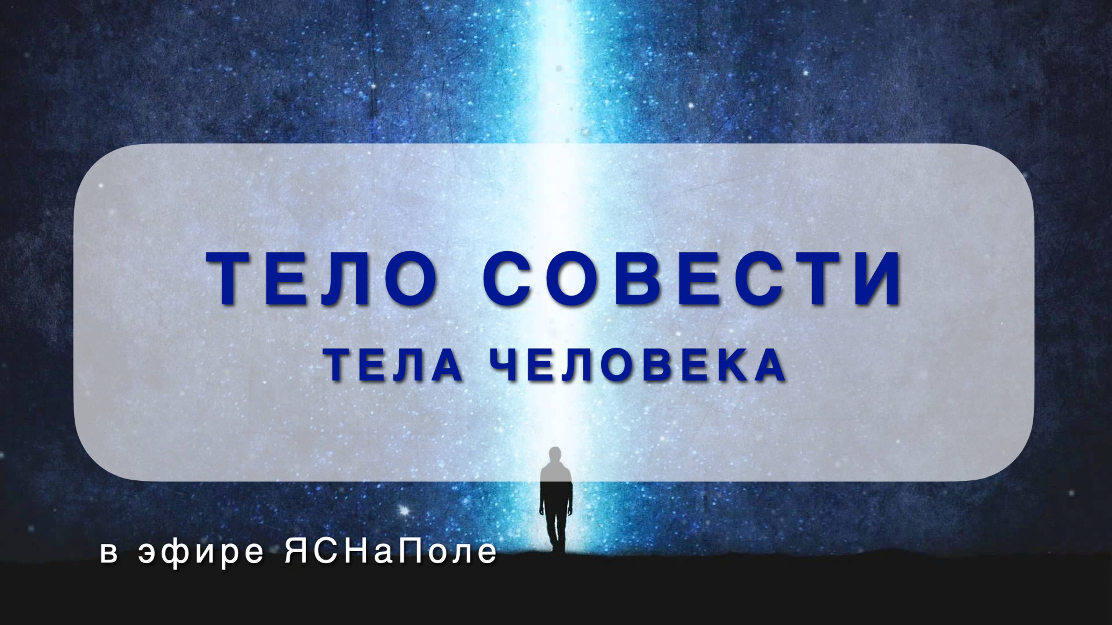 Тела человека. Тело совести