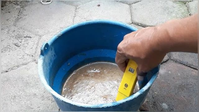 Menaikkan PH POC dengan soda kue dan aplikasinya