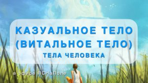 Тело человека. Казуальная оболочка