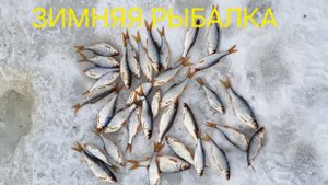 ЗИМНЯЯ РЫБАЛКА - ОНА ТАКАЯ
