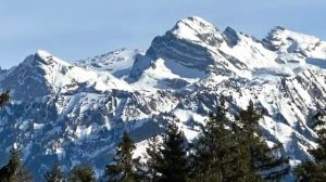 Песня о друге? - Lied über wahre Freundschaft