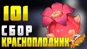 КРАСНОПЛОДНИК Геншин Где найти красноплодник сбор гайд маршрут красноплодника Genshin impact