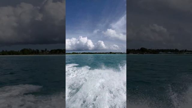 Мальдивы 2023 День прилета. Осваиваемся на острове. Кто живет на Мальдивах. Чем кормят на Мальдивах смотреть онлайн