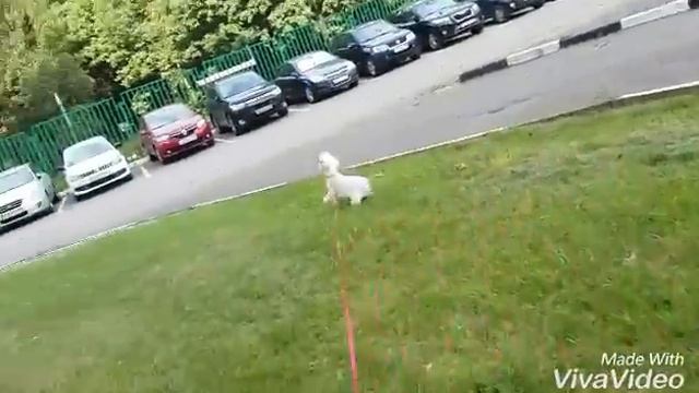 ЛЕТО ИЮЛЬ|2016 ))  ☺ смотреть онлайн