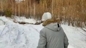 Бабуин 1 серия. Анкедова украли