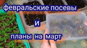 Обзор февральских посевов. План посева на март.