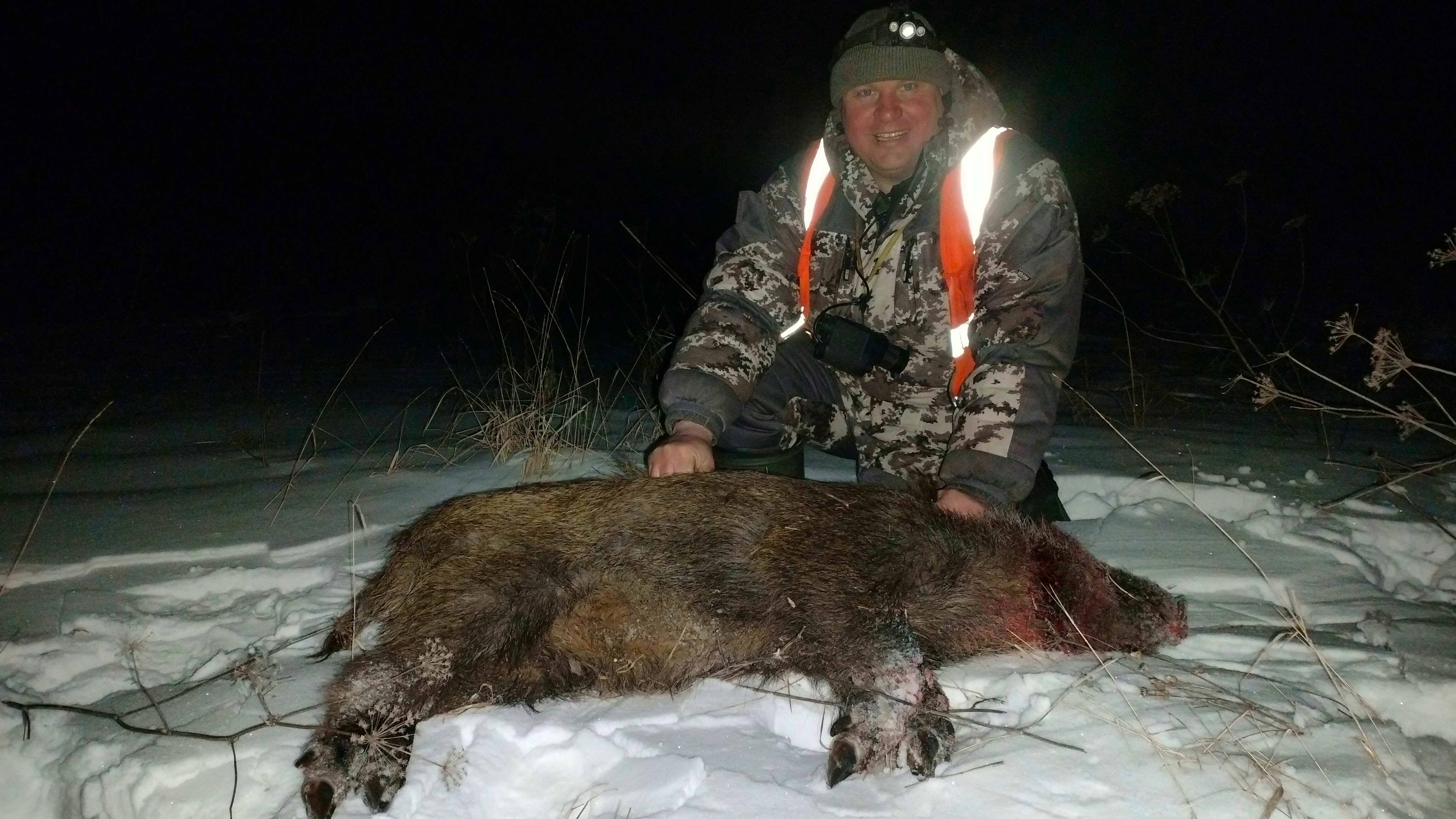 Охота на кабана. Две ночи по девять часов на сильном морозе и кабан добыт. Boar hunting