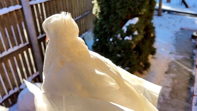 АНАСТАСИЯ. История одного ангела смотреть онлайн