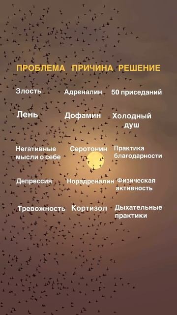 как похудеть без диет и спорта? #спорт #рецепт #зож #похудение #пп #шортс #стресс #потерявеса