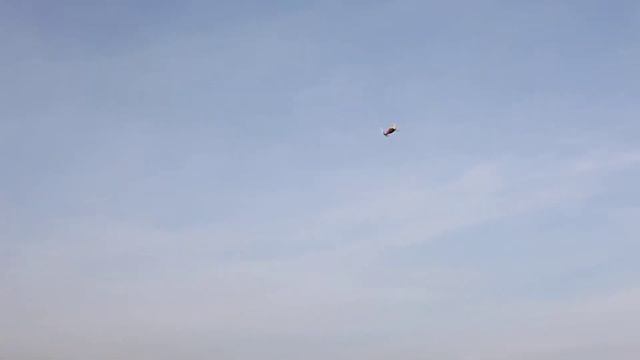 Anko vliegt met de Logo 600SE van Robert смотреть онлайн