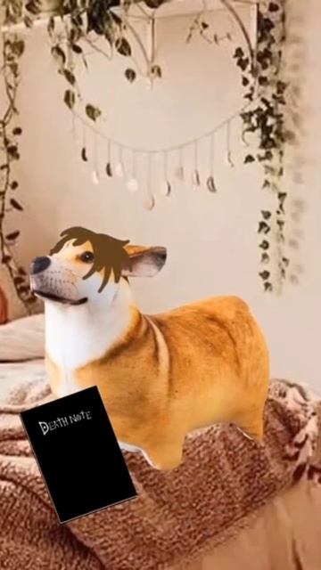 роботы от подписчиков блоп топ 2